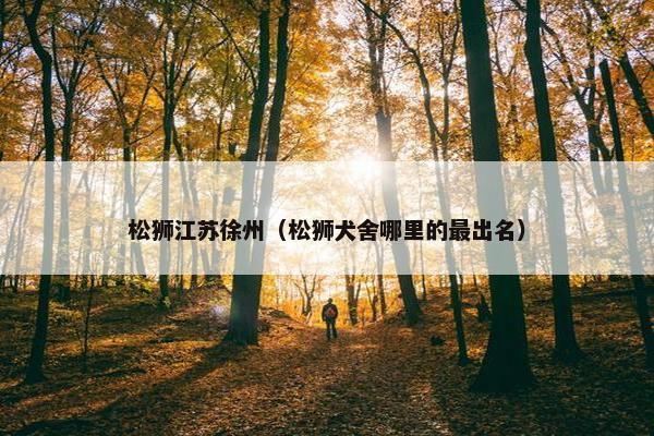 松狮江苏徐州（松狮犬舍哪里的最出名）