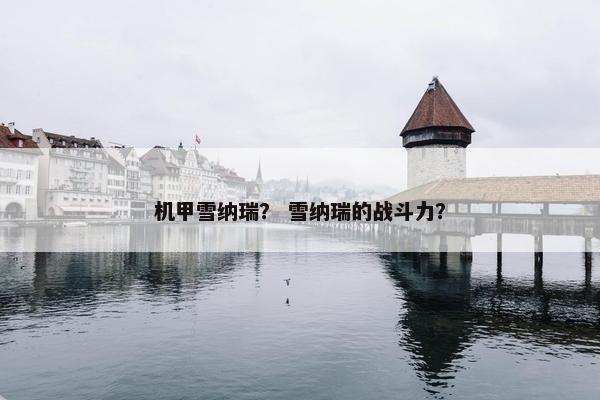 机甲雪纳瑞？ 雪纳瑞的战斗力？