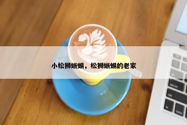 小松狮蜥蜴，松狮蜥蜴的老家