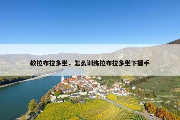 教拉布拉多坐，怎么训练拉布拉多坐下握手