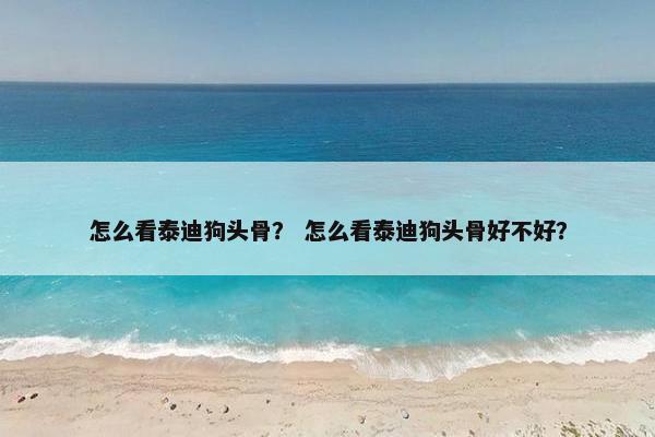怎么看泰迪狗头骨？ 怎么看泰迪狗头骨好不好？