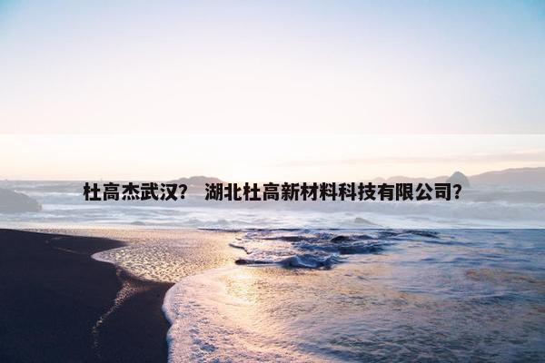 杜高杰武汉？ 湖北杜高新材料科技有限公司？