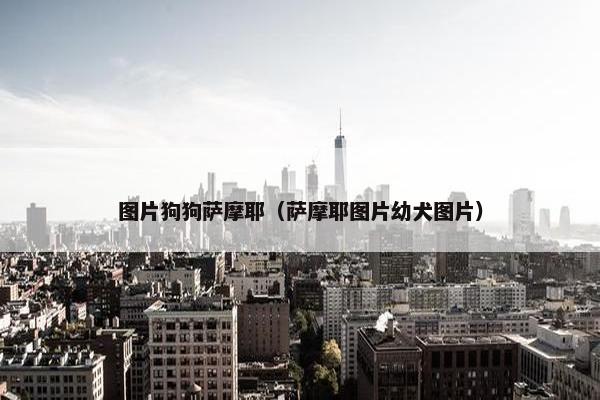 图片狗狗萨摩耶（萨摩耶图片幼犬图片）