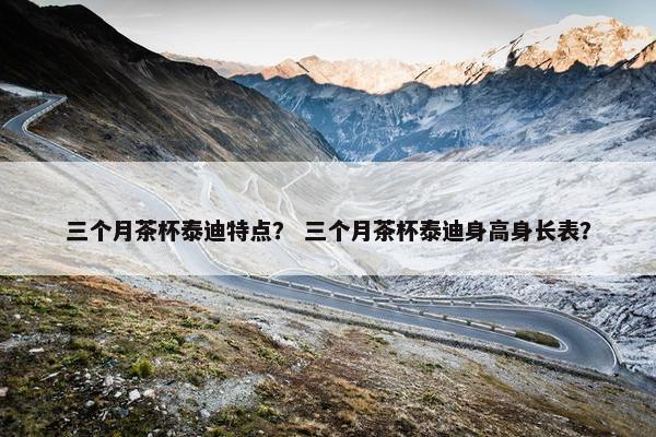 三个月茶杯泰迪特点？ 三个月茶杯泰迪身高身长表？