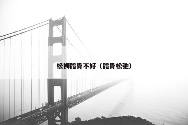 松狮髋骨不好（髋骨松弛）