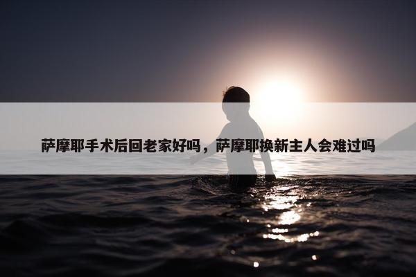 萨摩耶手术后回老家好吗，萨摩耶换新主人会难过吗