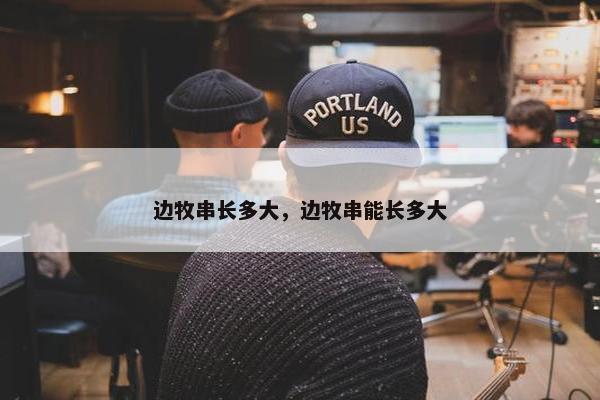 边牧串长多大，边牧串能长多大