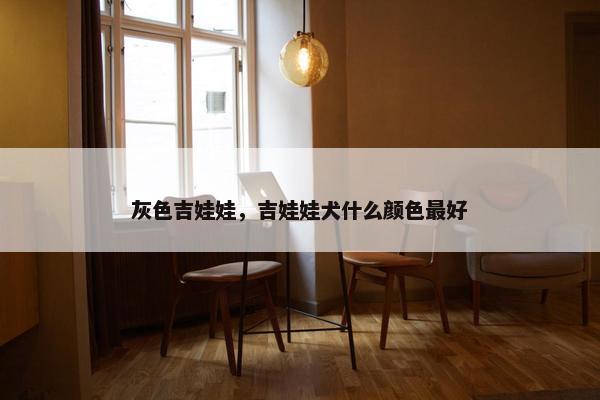 灰色吉娃娃，吉娃娃犬什么颜色最好