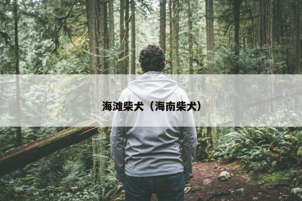 海滩柴犬（海南柴犬）