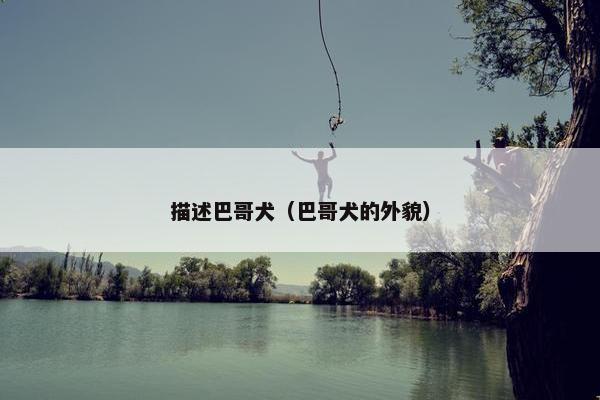 描述巴哥犬（巴哥犬的外貌）