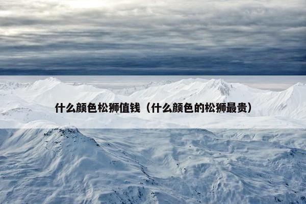 什么颜色松狮值钱（什么颜色的松狮最贵）