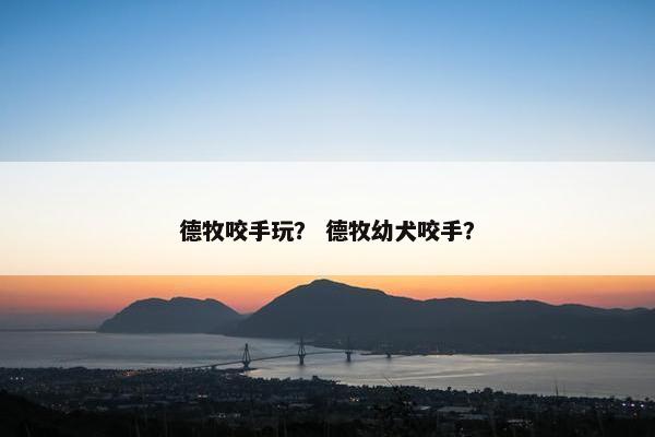 德牧咬手玩？ 德牧幼犬咬手？