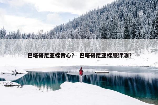 巴塔哥尼亚棉背心？ 巴塔哥尼亚棉服评测？
