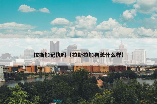 拉斯加记仇吗（拉斯拉加狗长什么样）
