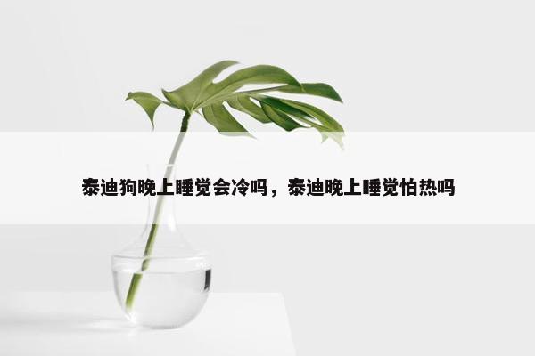 泰迪狗晚上睡觉会冷吗，泰迪晚上睡觉怕热吗