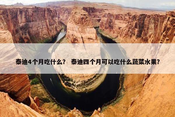 泰迪4个月吃什么？ 泰迪四个月可以吃什么蔬菜水果？