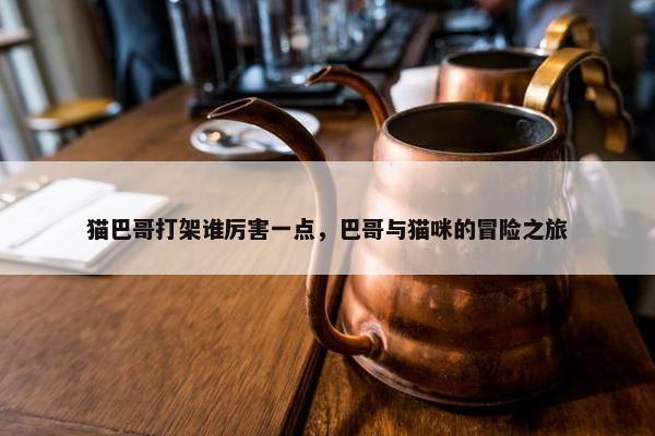 猫巴哥打架谁厉害一点，巴哥与猫咪的冒险之旅