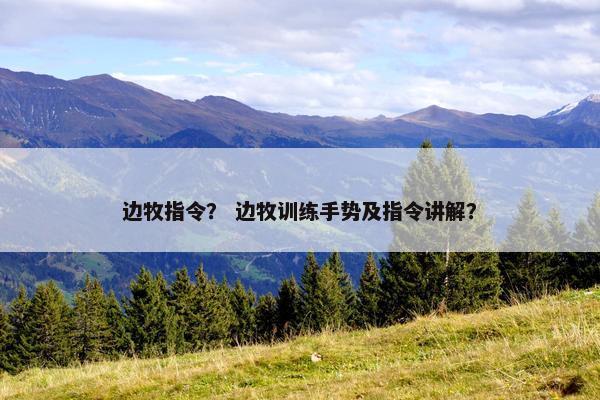 边牧指令？ 边牧训练手势及指令讲解？