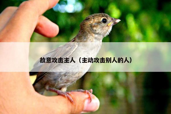 故意攻击主人（主动攻击别人的人）