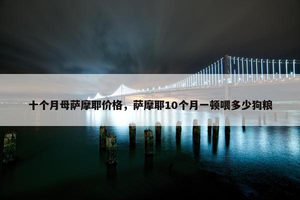 十个月母萨摩耶价格，萨摩耶10个月一顿喂多少狗粮