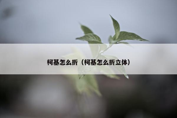 柯基怎么折（柯基怎么折立体）