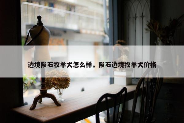 边境陨石牧羊犬怎么样，陨石边境牧羊犬价格