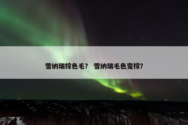 雪纳瑞棕色毛？ 雪纳瑞毛色变棕？