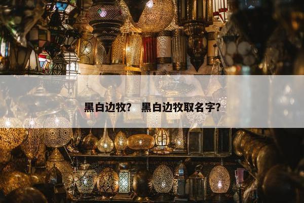 黑白边牧？ 黑白边牧取名字？