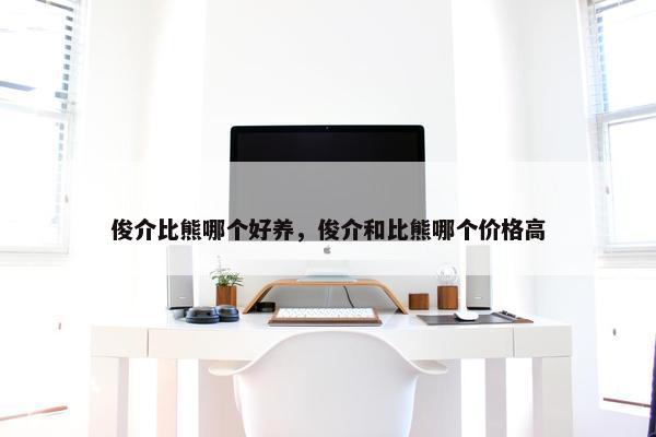 俊介比熊哪个好养，俊介和比熊哪个价格高