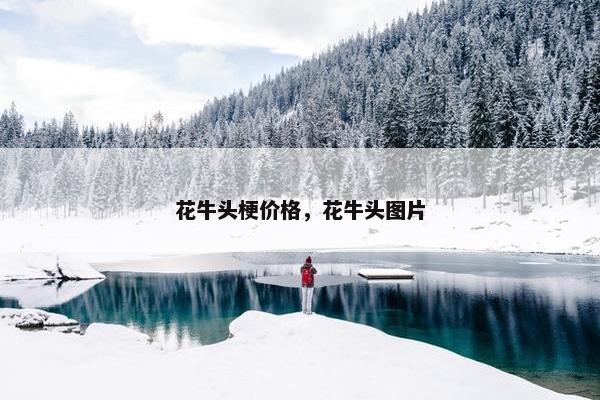 花牛头梗价格，花牛头图片