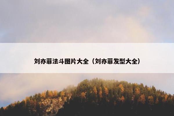 刘亦菲法斗图片大全（刘亦菲发型大全）