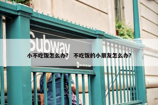 小不吃饭怎么办？ 不吃饭的小朋友怎么办？