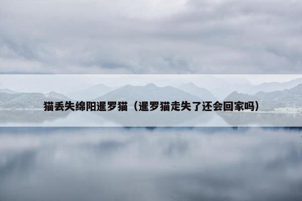 猫丢失绵阳暹罗猫（暹罗猫走失了还会回家吗）