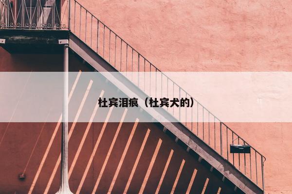 杜宾泪痕（杜宾犬的）