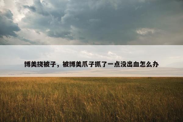 博美挠被子，被博美爪子抓了一点没出血怎么办