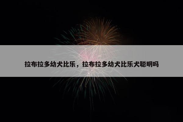 拉布拉多幼犬比乐，拉布拉多幼犬比乐犬聪明吗