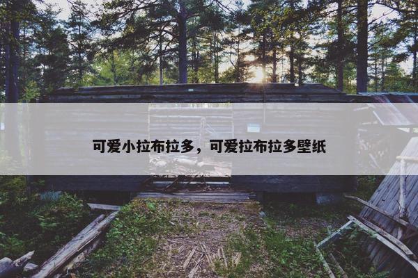 可爱小拉布拉多，可爱拉布拉多壁纸