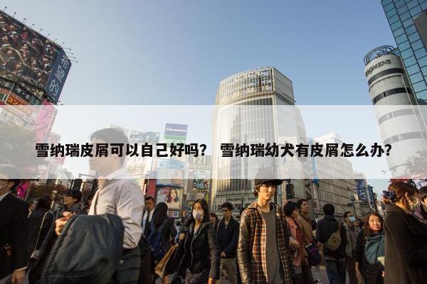雪纳瑞皮屑可以自己好吗？ 雪纳瑞幼犬有皮屑怎么办？