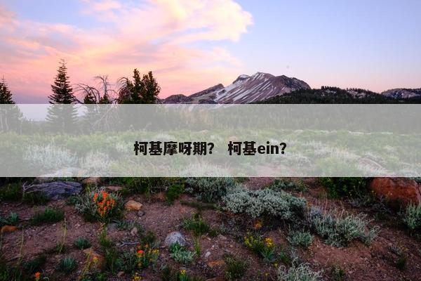 柯基摩呀期？ 柯基ein？