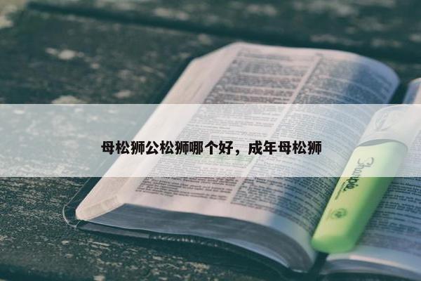 母松狮公松狮哪个好，成年母松狮