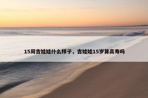 15周吉娃娃什么样子，吉娃娃15岁算高寿吗