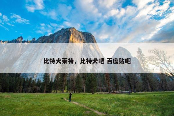 比特犬莱特，比特犬吧 百度贴吧