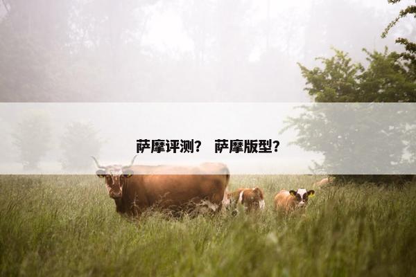 萨摩评测？ 萨摩版型？