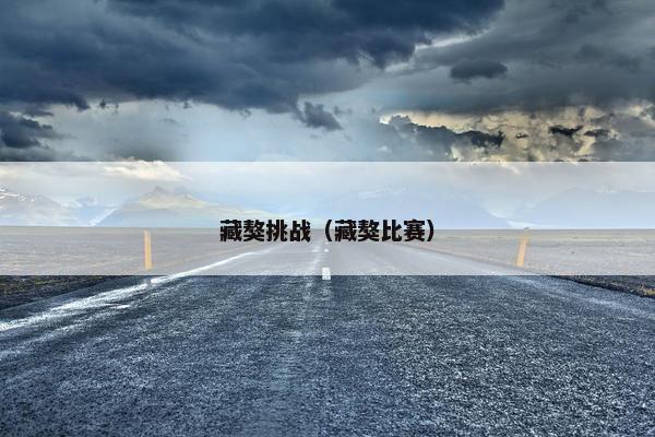 藏獒挑战（藏獒比赛）