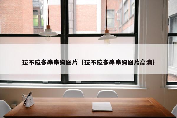 拉不拉多串串狗图片（拉不拉多串串狗图片高清）