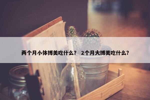 两个月小体博美吃什么？ 2个月大博美吃什么？
