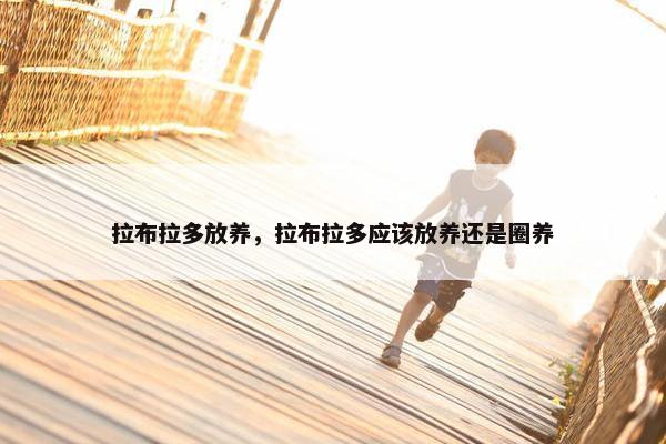 拉布拉多放养，拉布拉多应该放养还是圈养