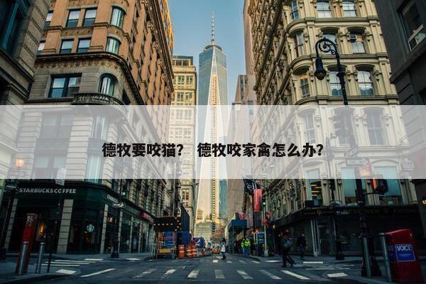 德牧要咬猫？ 德牧咬家禽怎么办？