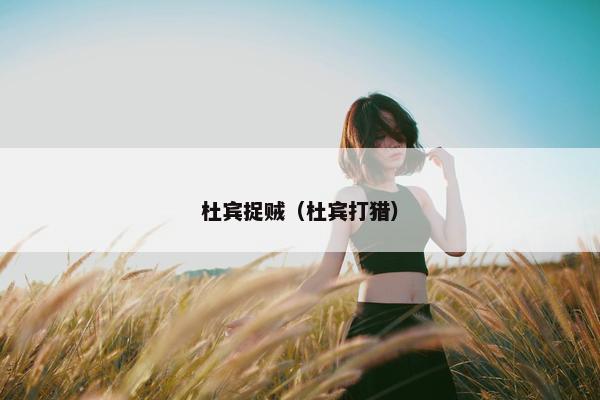 杜宾捉贼（杜宾打猎）