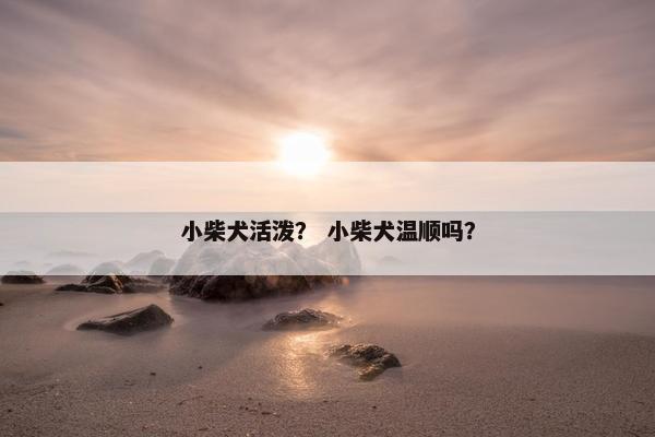 小柴犬活泼？ 小柴犬温顺吗？